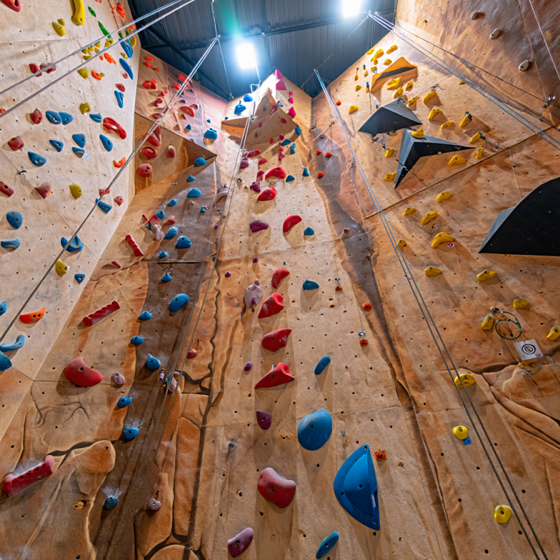 Kids Outdoor Climbing Wall - MIZONE Multifunctional Climbing Wall Available Indoor