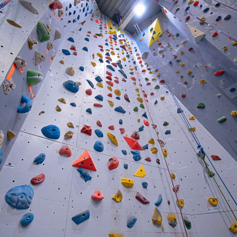 MIZONE Multifunctional Climbin - مراجعة Kids Outdoor Climbing Wall وسعره