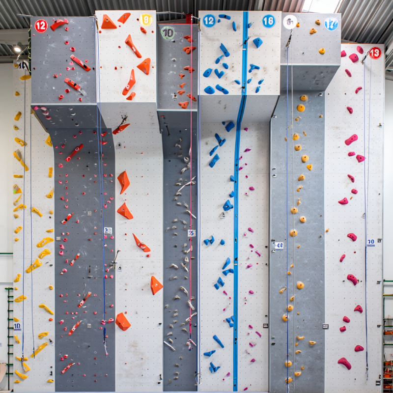 MIZONE Multifunctional Climbin - مراجعة Kids Outdoor Climbing Wall وسعره