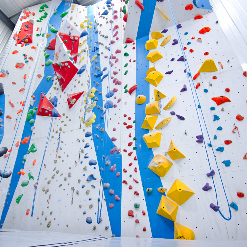 MIZONE Multifunctional Climbin - مراجعة Kids Outdoor Climbing Wall وسعره