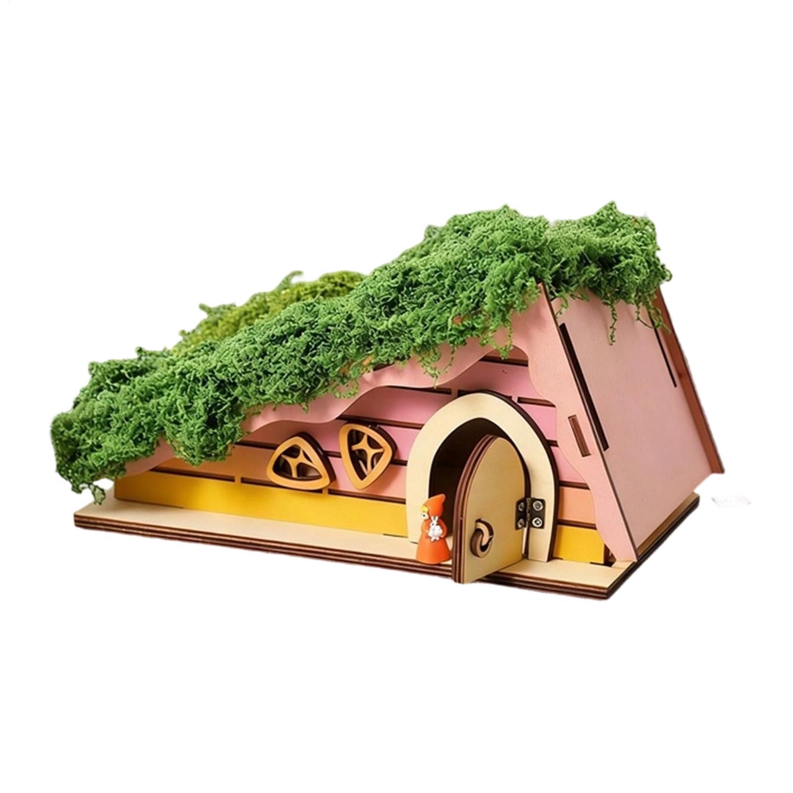 Wooden Fairy House Craft Kit T - مراجعة Kids Outdoor Garden Set وسعره
